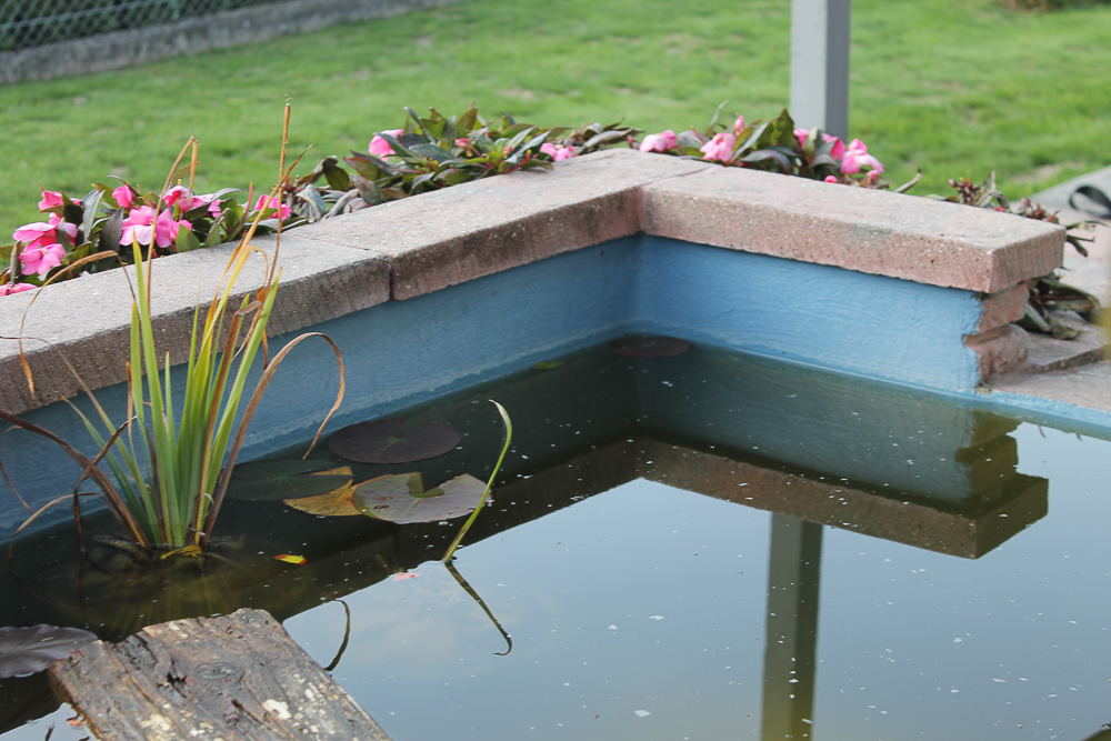  Étanchéité d'un bassin